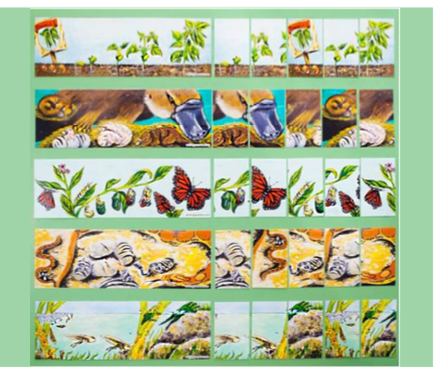 LIFE CYCLE PUZZLE SET