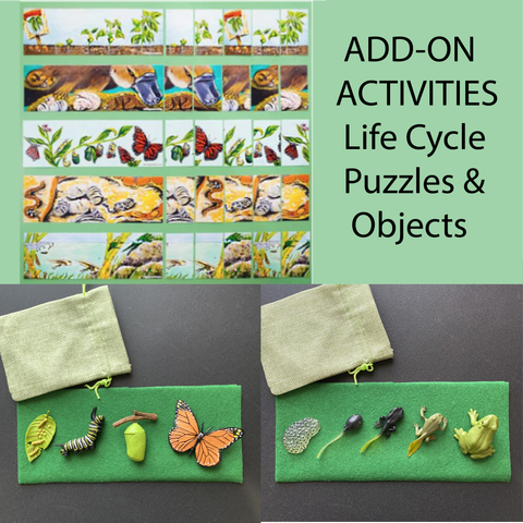LIFE CYCLE PUZZLES/ OBJECTS & Activities