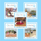 CLASSROOM SET#1  READERS