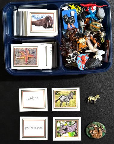 FRENCH Animals - Word Cards/Picture Cards&Objects