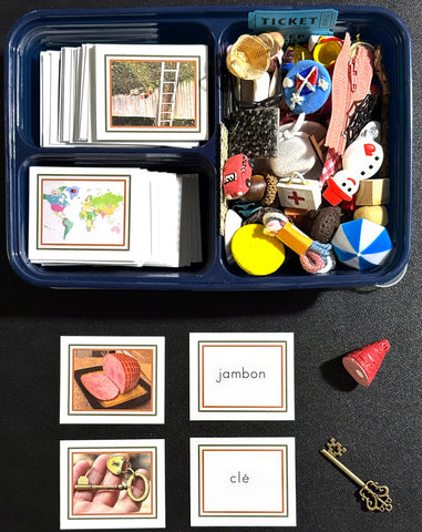 FRENCH Common Objects Word&Picture Cards with Objects