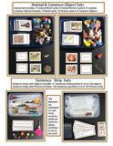 FRENCH CLASSROOM BUNDLE