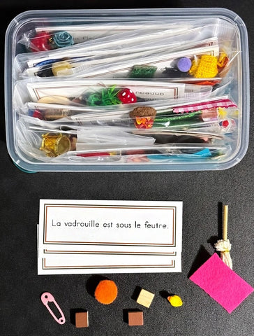 FRENCH Sentences with objects (Full Set)