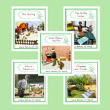 CLASSROOM SET#C SET of 50 LEVEL 3 (GREEN BORDER)
