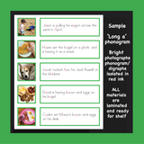 GREEN (LEVEL 3) SENTENCES (COMPLETE SET)