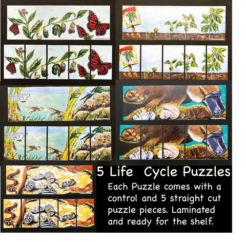 Life Cycle Puzzle SET # 1