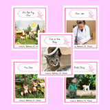 CLASSROOM SET#A  SET of 50 LEVEL 1 (PINK BORDER)
