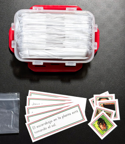 SPANISH Sentences with Pictures