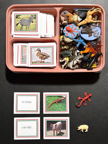 SPANISH Animals - Word Cards/Picture Cards&Objects