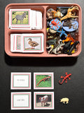 SPANISH ANIMAL OR COMMON OBJECT Pack