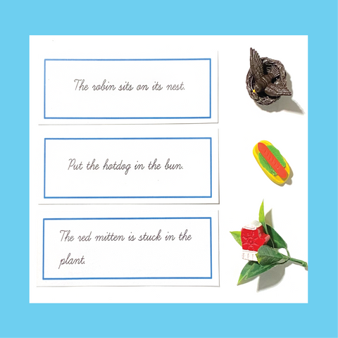 Cursive Writing Blue (Level 2) Sentence Strips with Objects