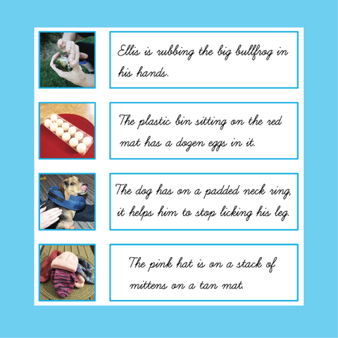 Cursive Writing Blue (Level 2) Sentence Strips with Pictures