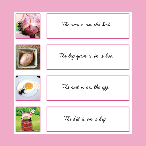 Cursive Writing Pink (Level 1) Sentence Strips with Pictures