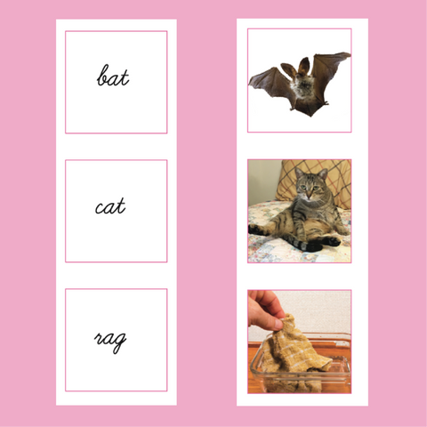 Cursive Writing Pink (Level 1) Word Cards with Pictures