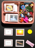 SPANISH ANIMAL OR COMMON OBJECT Pack