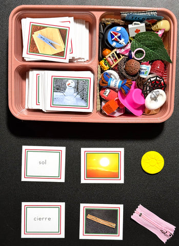 Spanish Common Objects Word&Picture Cards with Objects