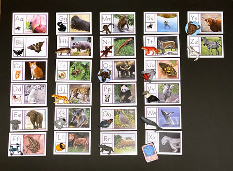 2D/3D Matching Cards - SET 1 (Animals)