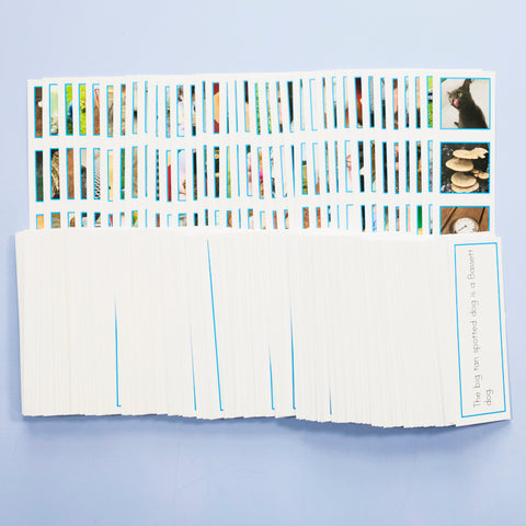 CLASSROOM BLUE PICTURE STRIPS- Level 1 (SET 1)