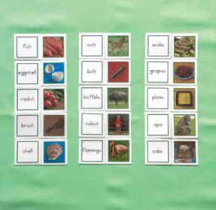 GREEN WORD CARDS/PICS - PRIMARY PACK