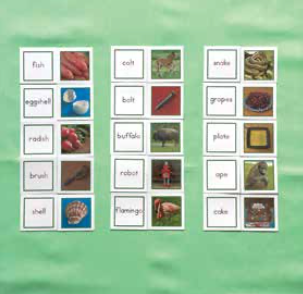 GREEN WORD CARDS WITH PICTURES - (PRIMARY PACK)